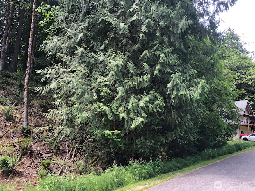 8 Twin Flower Cir, Bellingham, WA 98229 - photo 1