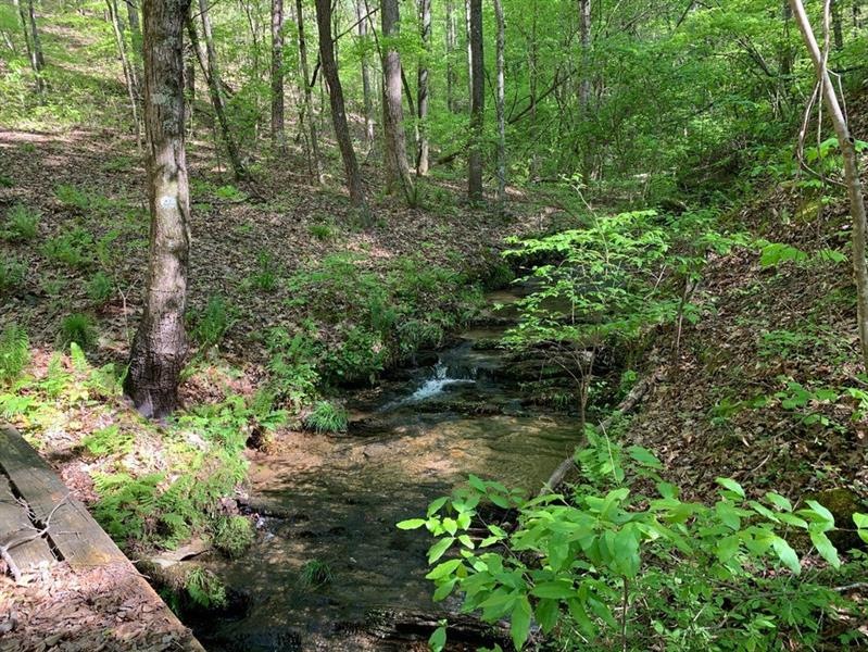 0 Felton Rockmart Rd unit 6738184, Buchanan, GA 30113 - photo 1