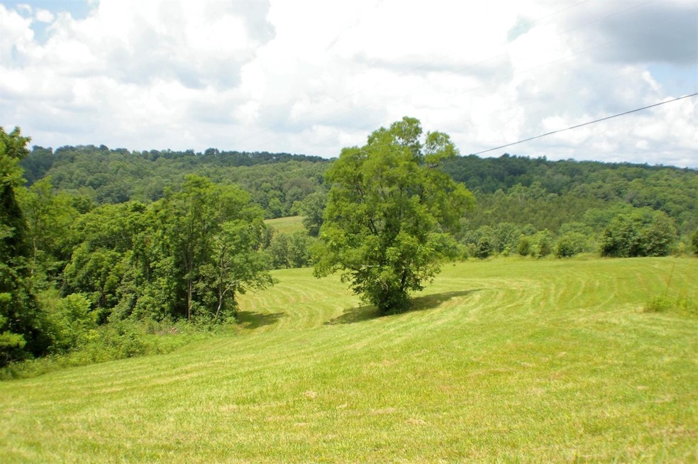 1 Alhambra Rd unit 3, Mount Olivet, KY 41064 - photo 1