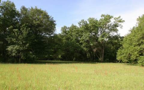 LOT16 Mandiba Dr, Lake City, FL 32024 - photo 1