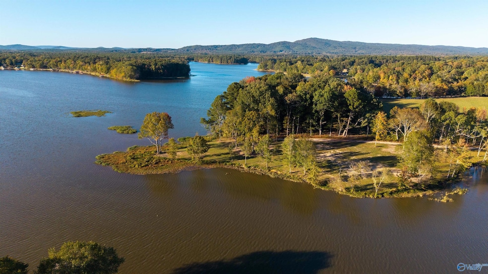 Lot 30 County Road 115, Cedar Bluff, AL 35959 - photo 1