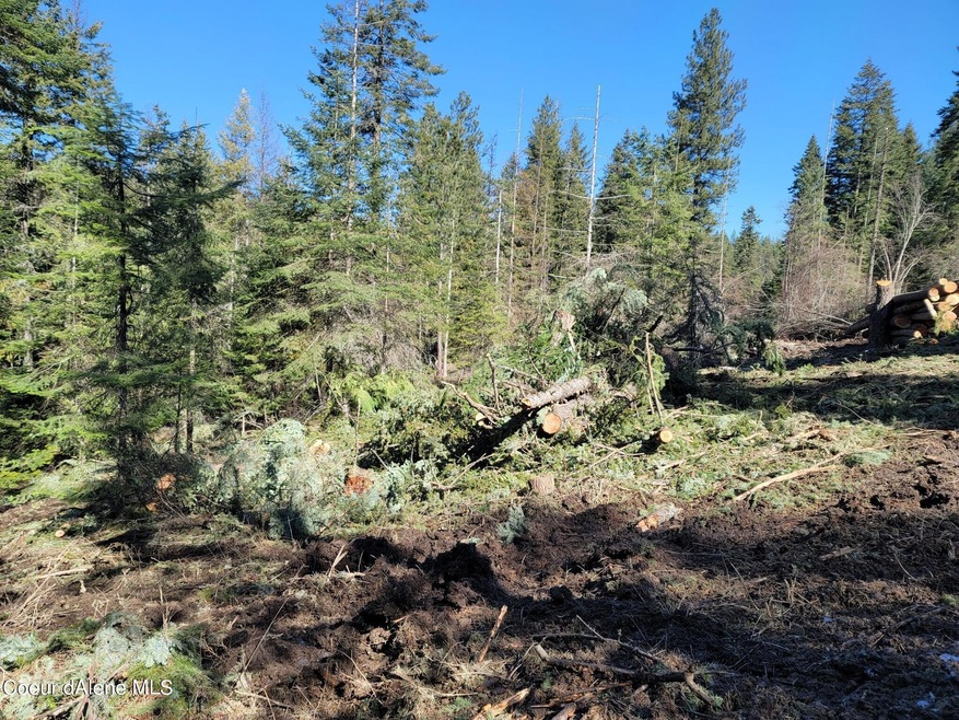 LT B Blk 1 Idaho 97, Harrison, ID 83833 - photo 1