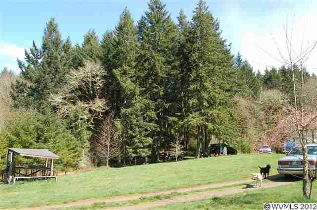 - Timber Trail NE, Silverton, OR 97381 - photo 1