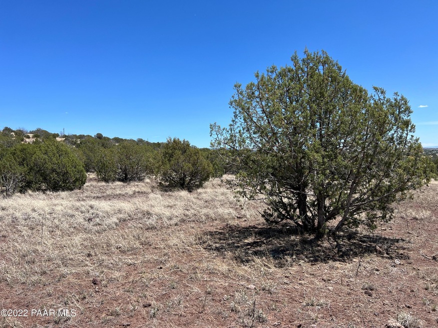 48225 N Steve Ln, Ash Fork, AZ 86320 - photo 1