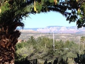view-n1