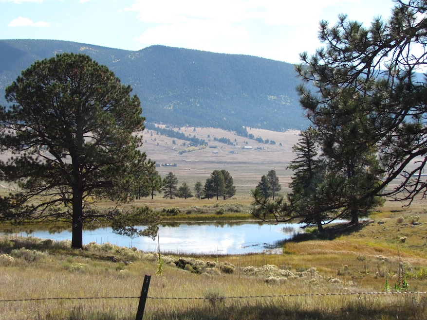 27989 U S Highway 64, Eagle Nest, NM 87718 - photo 1