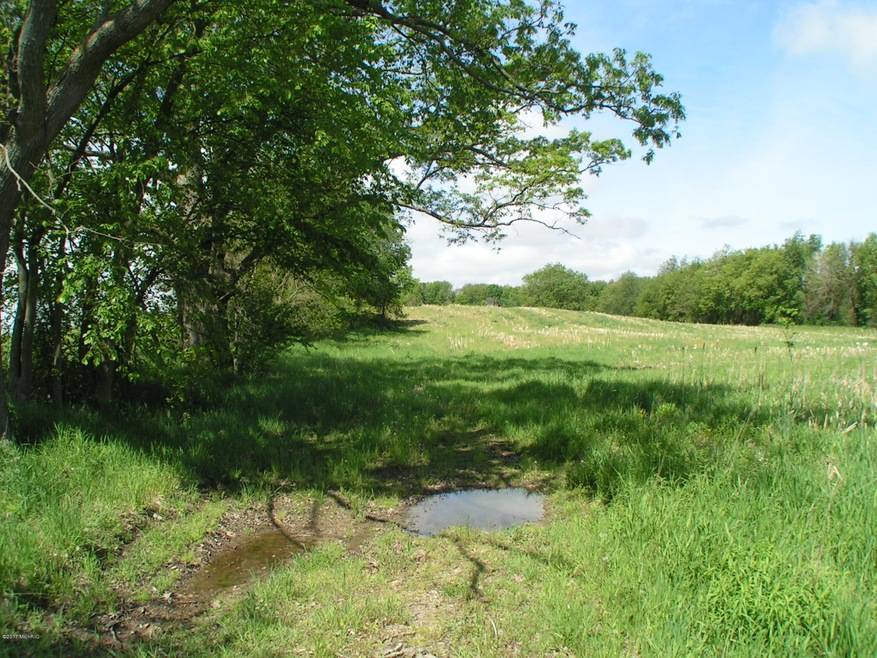 2015 Jefferson Rd, Ionia, MI 48846 - photo 1