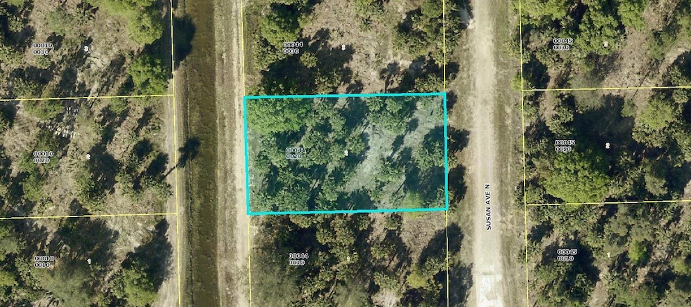 5903 Susan Ave N, Lehigh Acres, FL 33971 - photo 1