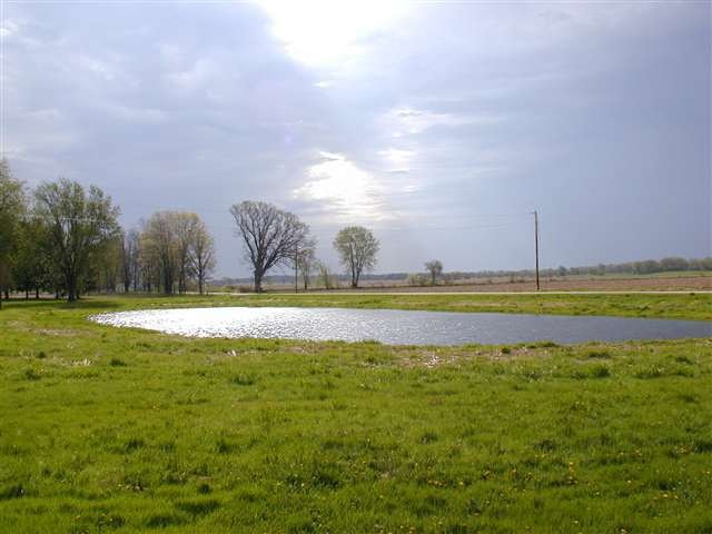 17202 W Holt Rd, Brooklyn, WI 53521 - photo 1