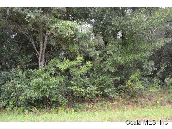 0 Dogwood Loop unit MFROM428737, Ocala, FL 34472 - photo 1