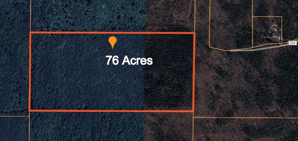 Screenshot 2025-02-28 115756