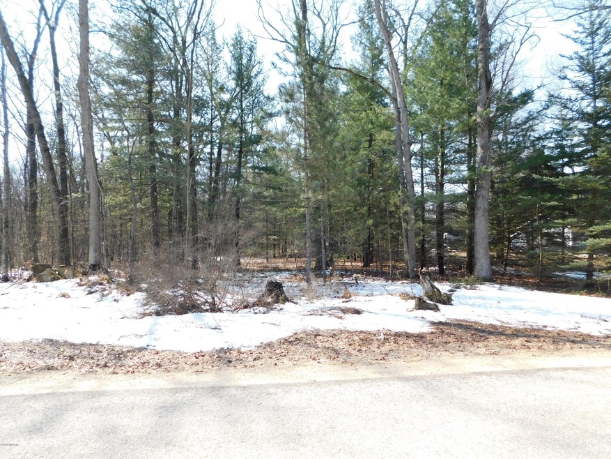 0 W Lincoln St, Brohman, MI 49312 - photo 1