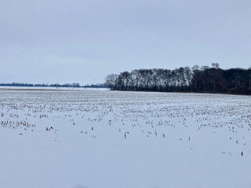 403 E 2nd St, Tampico, IL 61283 - photo 1