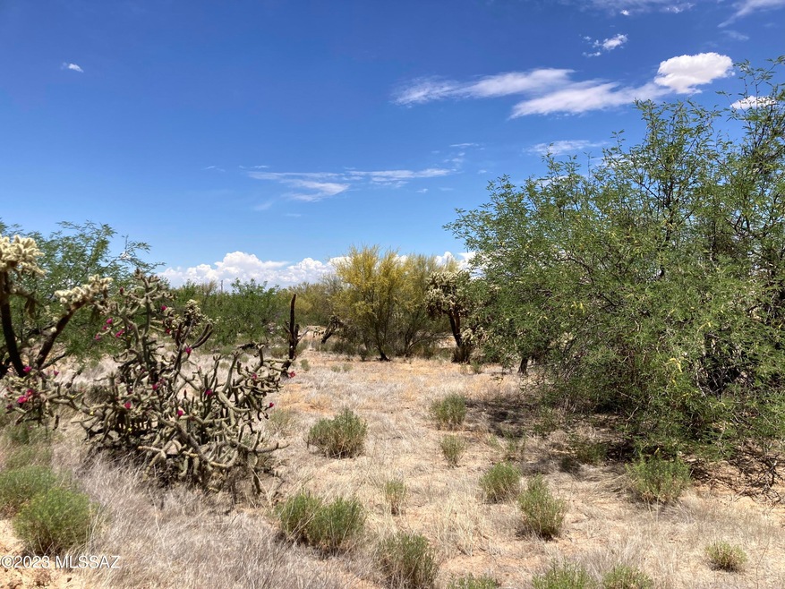 11215 S Mare Dr - 2
