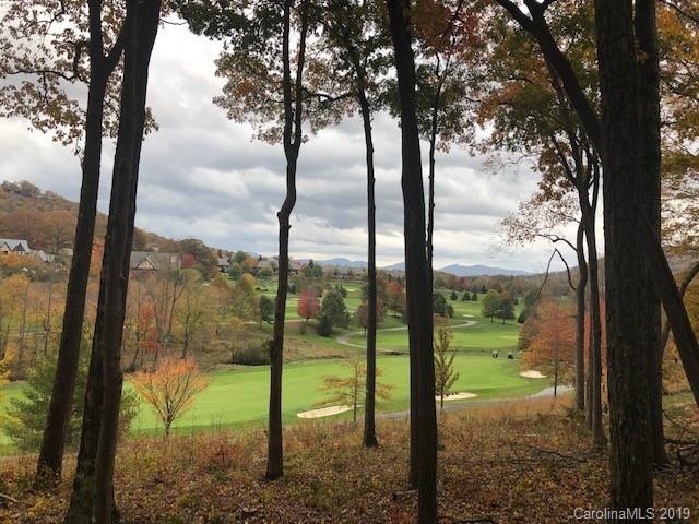 2020 Song Breeze Trail unit LOT 146, Arden, NC 28704 - photo 1