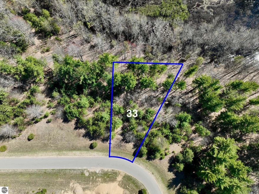 6379 Jeffrey Place unit Lot 33, Grawn, MI 49637 - photo 1