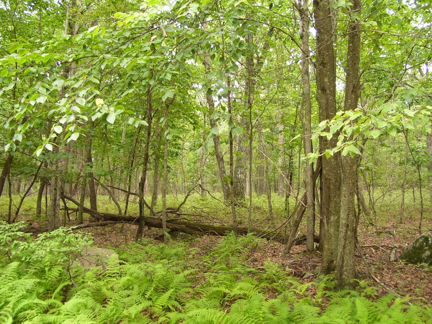 Lot 149 Mountain Top Rd, Lackawaxen Township, PA 18435 - photo 1