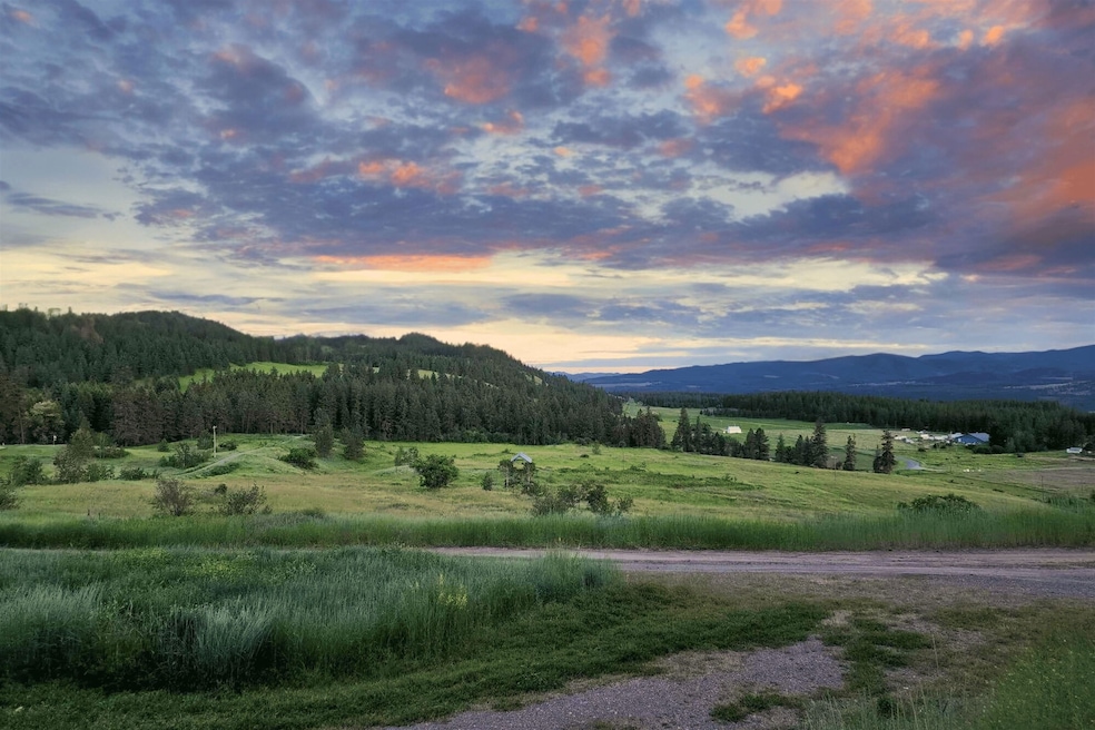 3341 Daisy Mine Rd, Rice, WA 99167 - photo 1