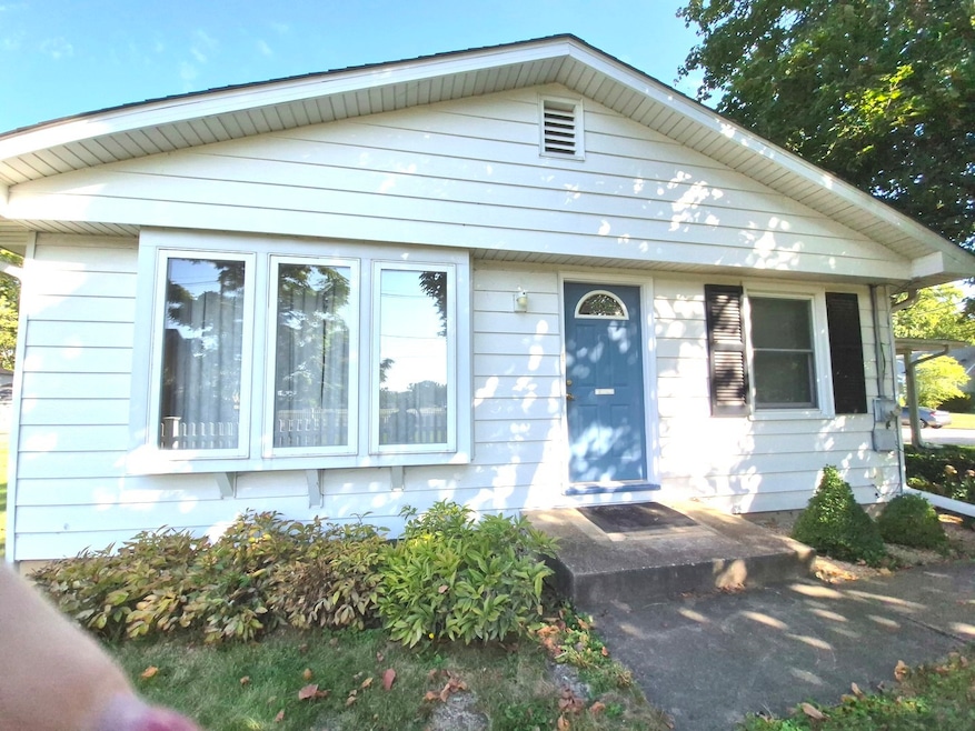 131 E Jackson St, Oswego, IL 60543 - photo 1