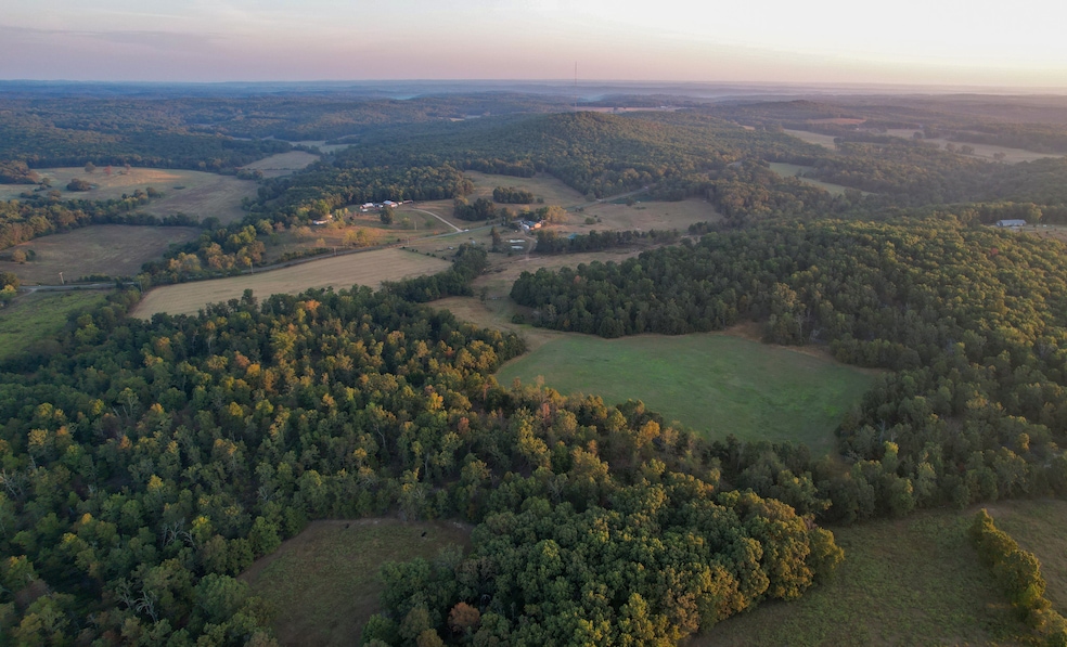 4420 State Route Dd, Willow Springs, MO 65793 - photo 1