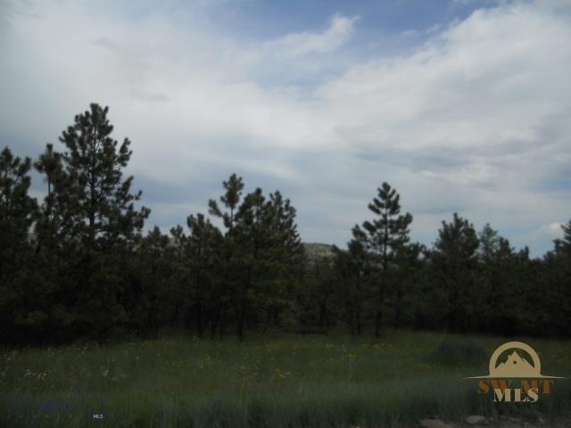 AREA PHOTO