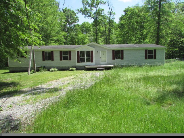 Main View