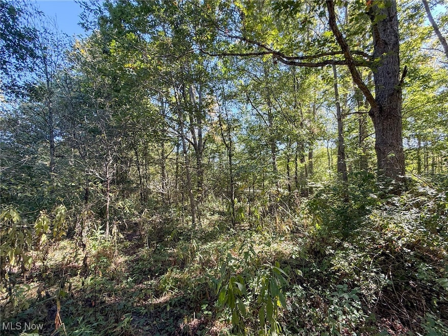 0 Country Rd, Rumley Township, OH 43986 - photo 1