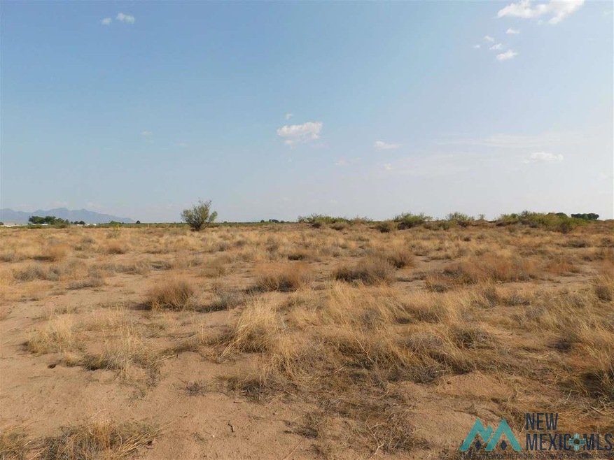 0 Earl Scott Trail SW unit 20213932, Deming, NM 88030 - photo 1