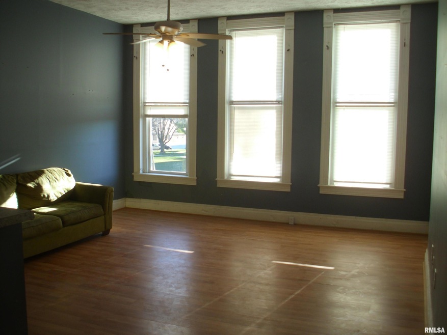 117 E Springfield St, Virginia, IL 62691 - photo 1