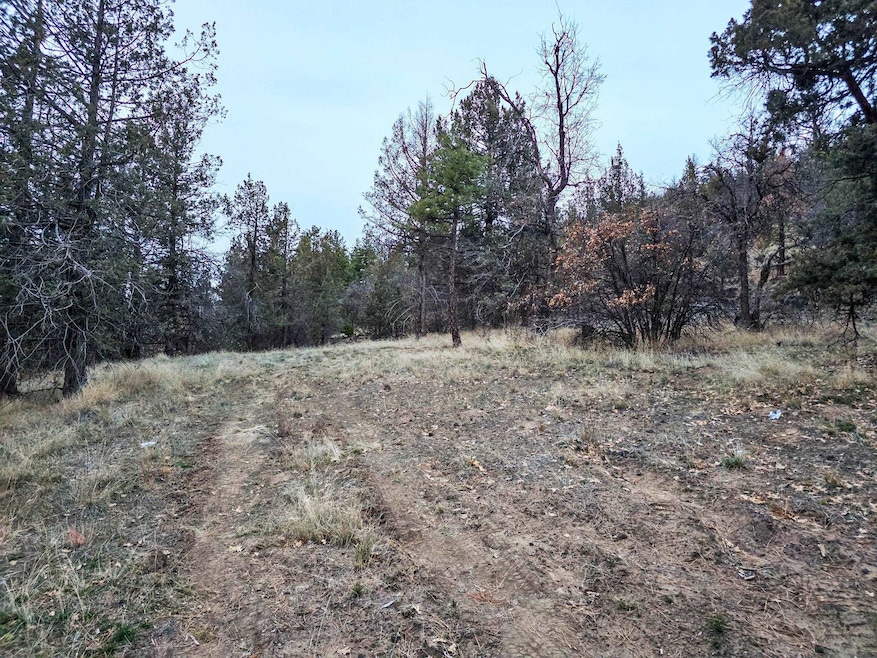 0 Log House Rd, MacDoel, CA 96058 - photo 1