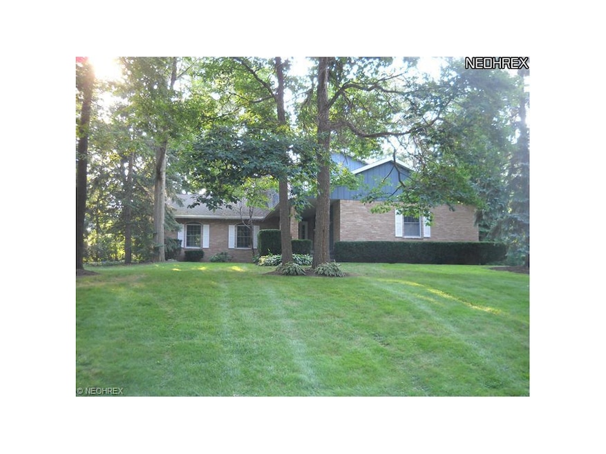 OPEN SUNDAY MARCH 18TH 2-3PM!  STOP BY!
