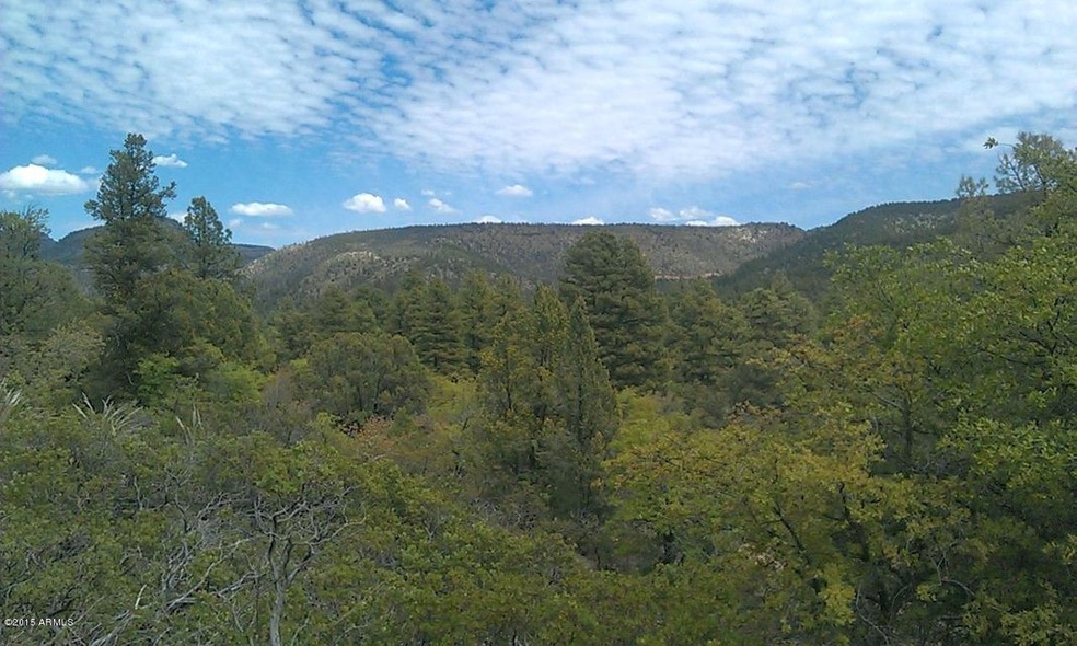 IMAG0272