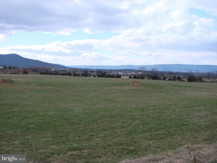 0 Log Cabin Dr unit 1000263414, Stanley, VA 22851 - photo 1