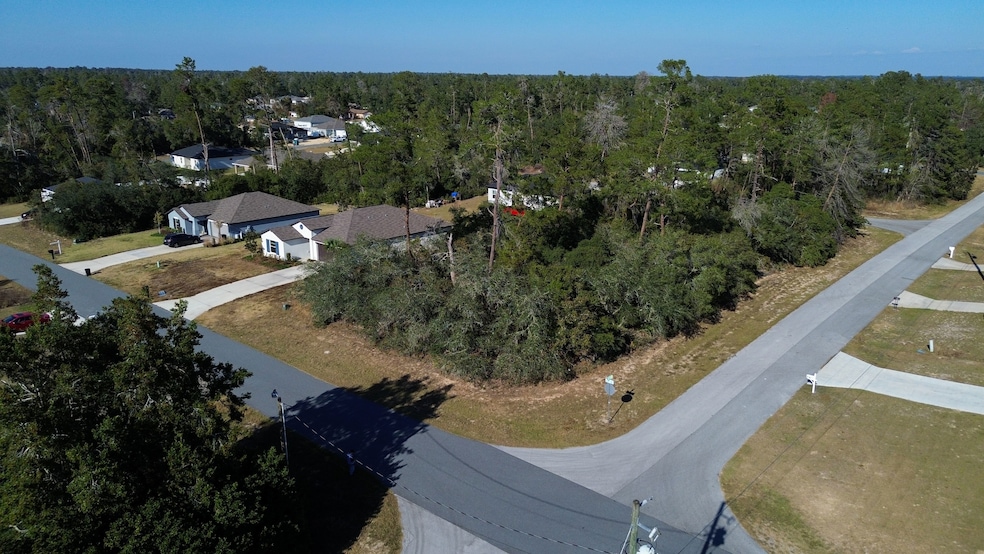 2530 SW 167th Loop, Ocala, FL 34473 - photo 1