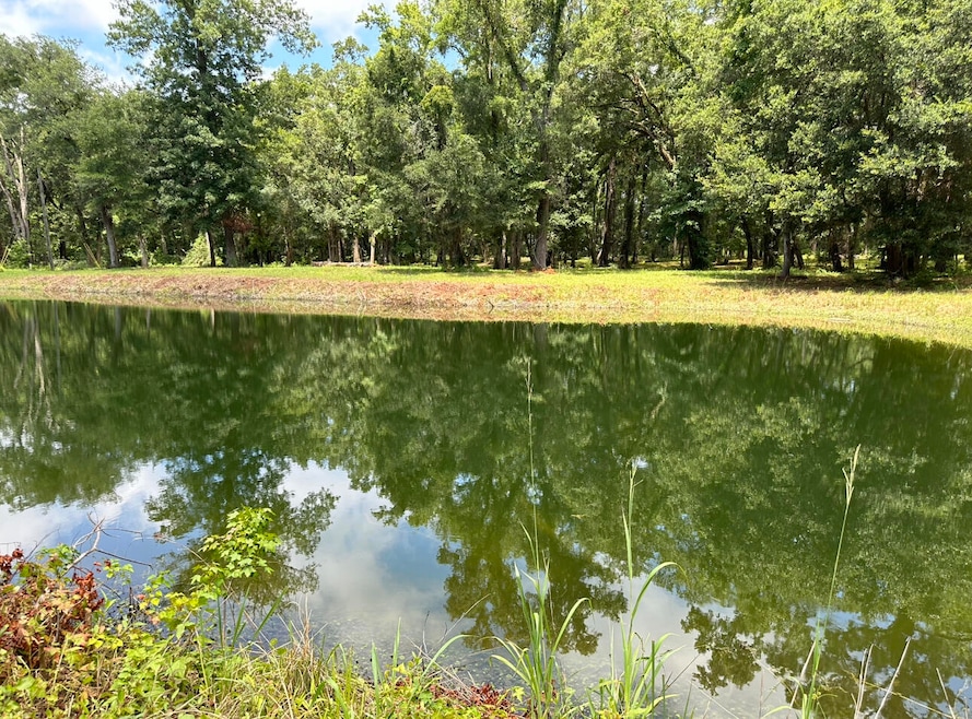 View of Pond