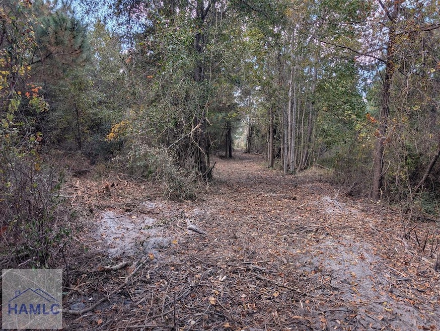 00 U S 301, Jesup, GA 31546 - photo 1