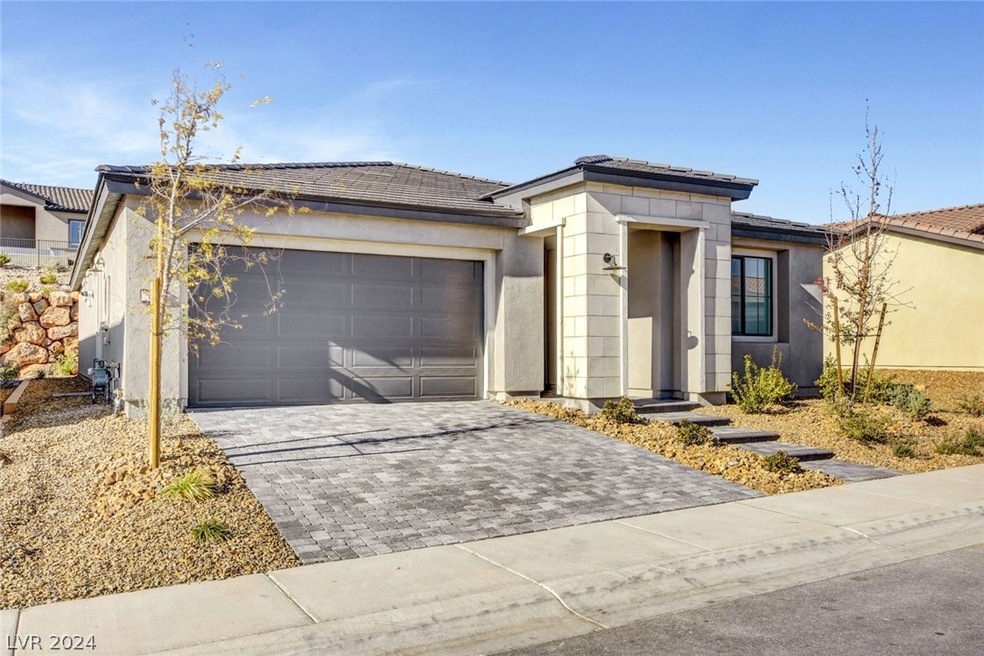 Clean Modern design, low maintenance desert friend