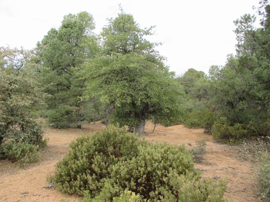 1404 E Graham Ranch Trail, Payson, AZ 85541 - photo 1