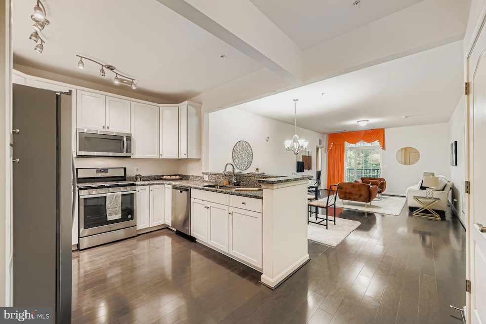 510 Quarry View Ct unit 308, Reisterstown, MD 21136 - photo 1