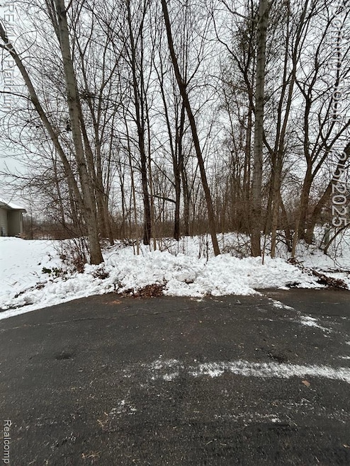 13480 Bryson Ct, Fenton, MI 48430 - photo 1