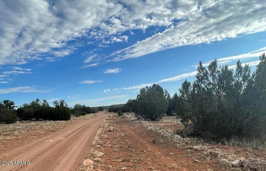 000 Via de Oro -- unit 1332, Seligman, AZ 86337 - photo 1