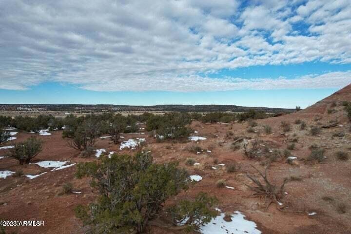 20230130032028702670000000-o (1)