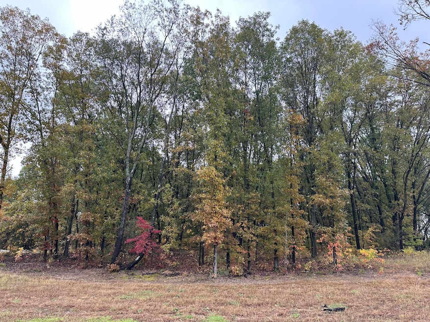 IMG_3222