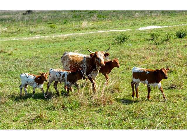 10801 Carlton Rd, Port St. Lucie, FL 34987 - photo 1