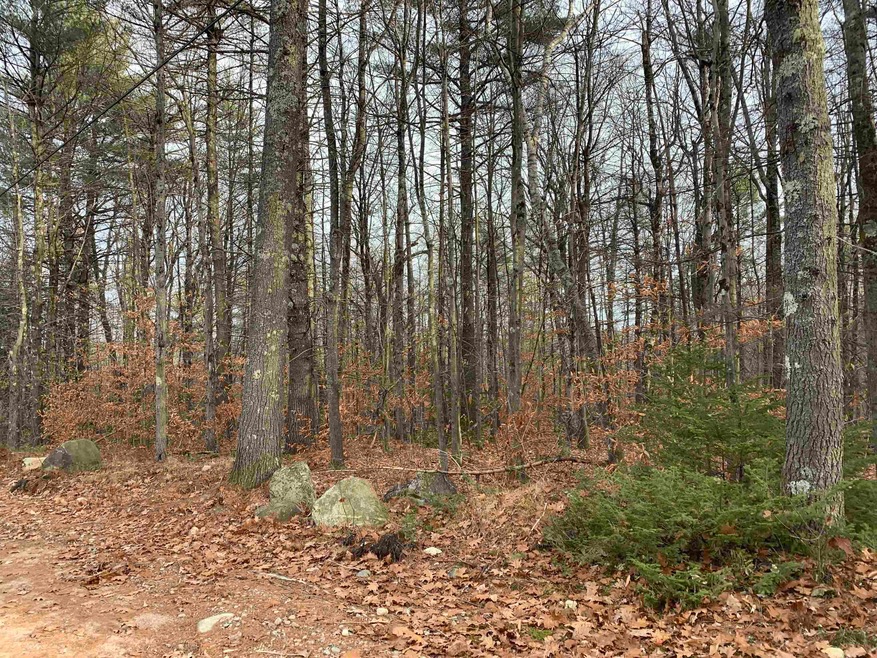 32 Neal Hill Rd, Center Tuftonboro, NH 03816 - photo 1