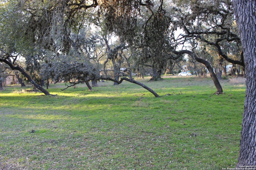 25811 Fleet Gardens, San Antonio, TX 78255 - photo 1