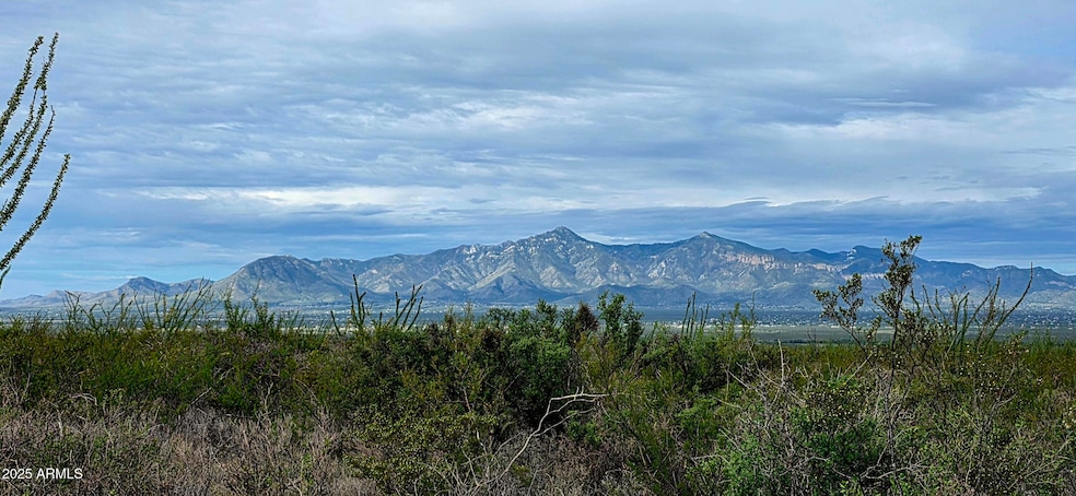 Lots 3 & 4 S Lonesome Dr unit 3, Hereford, AZ 85615 - photo 1