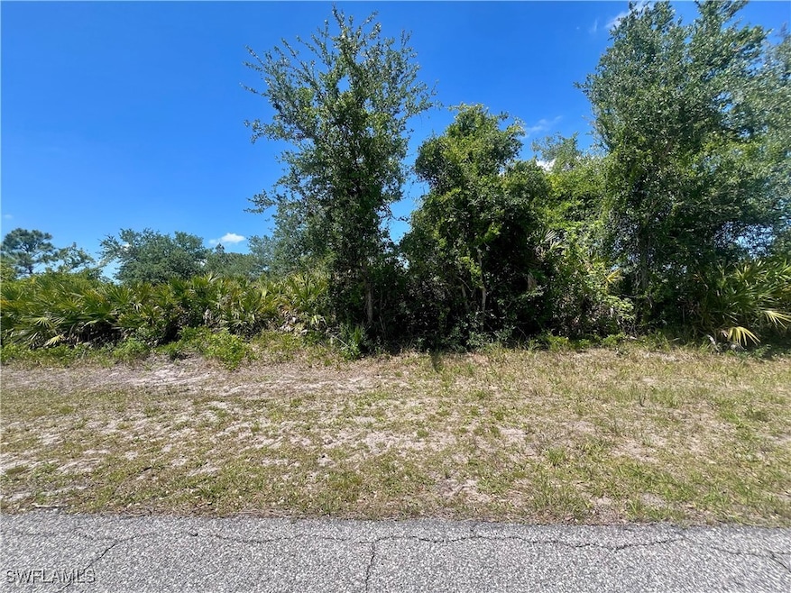 View of undeveloped land