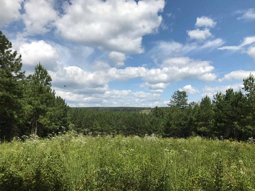 Acreage
