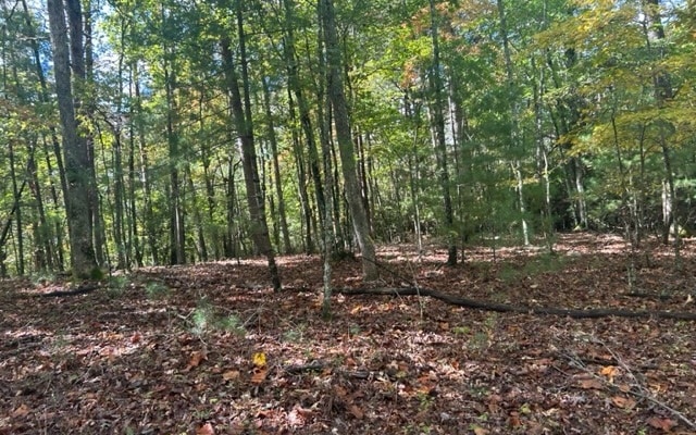 Main View